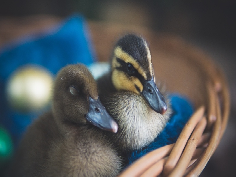 具体试管指征试管古纳芬尿检试管照片真实